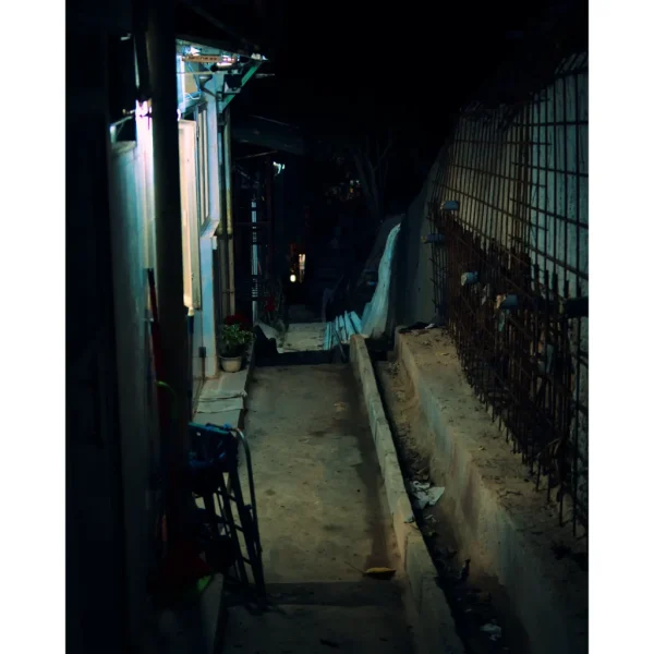 DSC04319