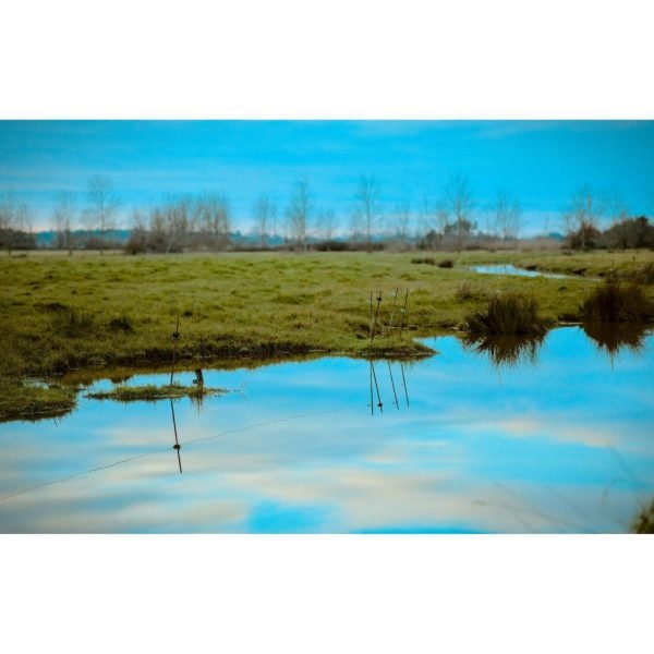 i-DSC00089-rawdenoise-sharpen