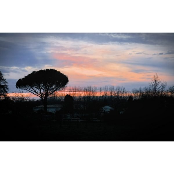 i-DSC00331-rawdenoise