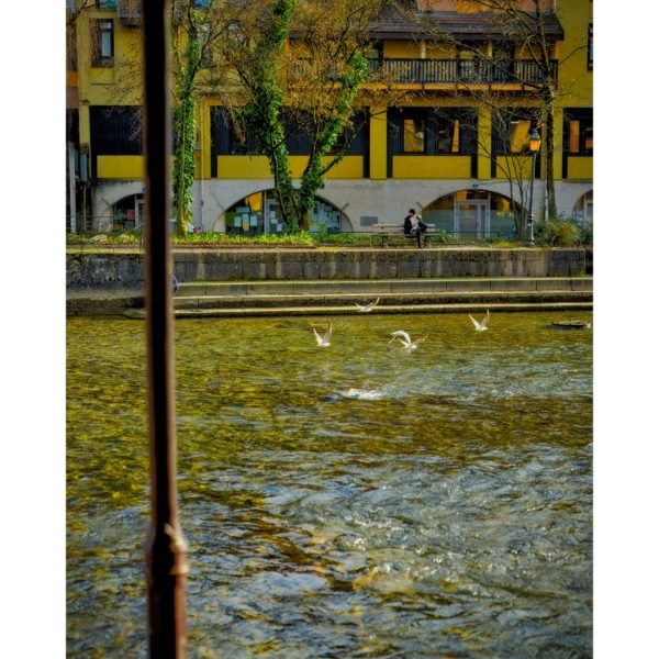i-DSC00361-rawdenoise